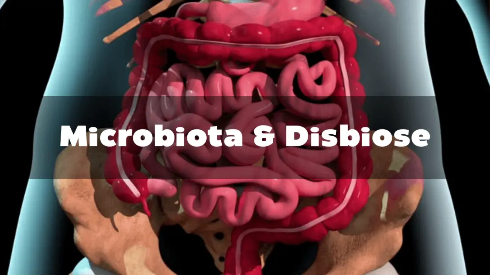 Microbiota & Disbiose (1) (convert.io) (1)