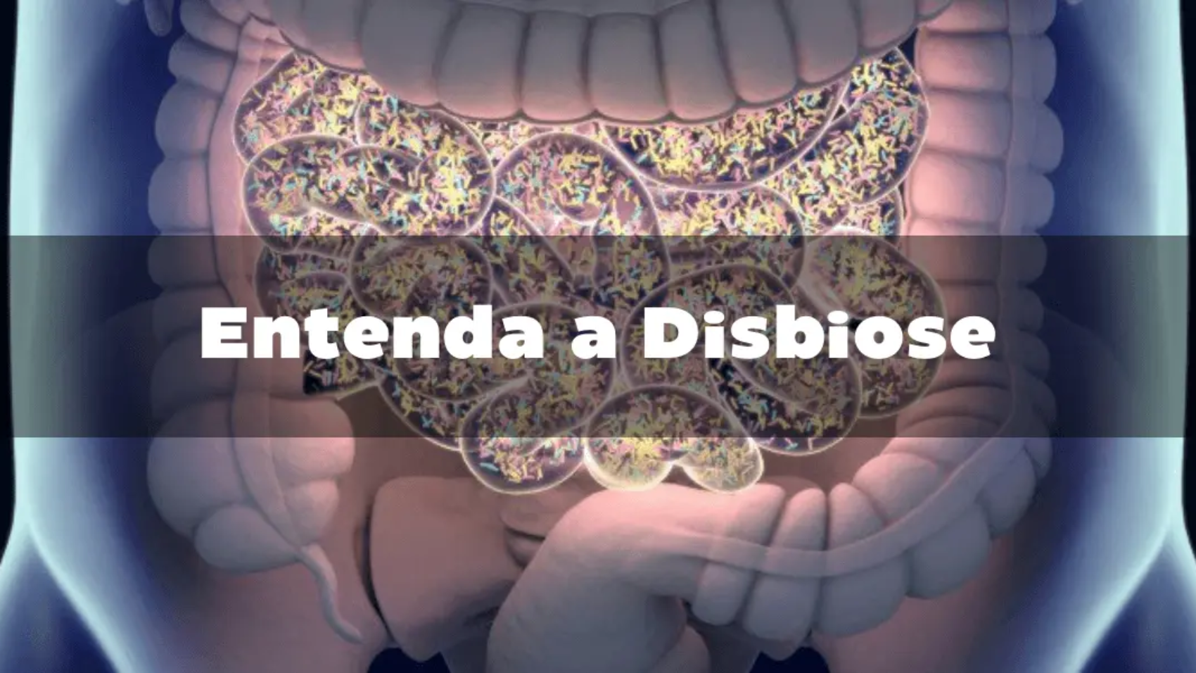 zenkkojuiceofficial-entenda-a-disbiose-zenkkojuice.com