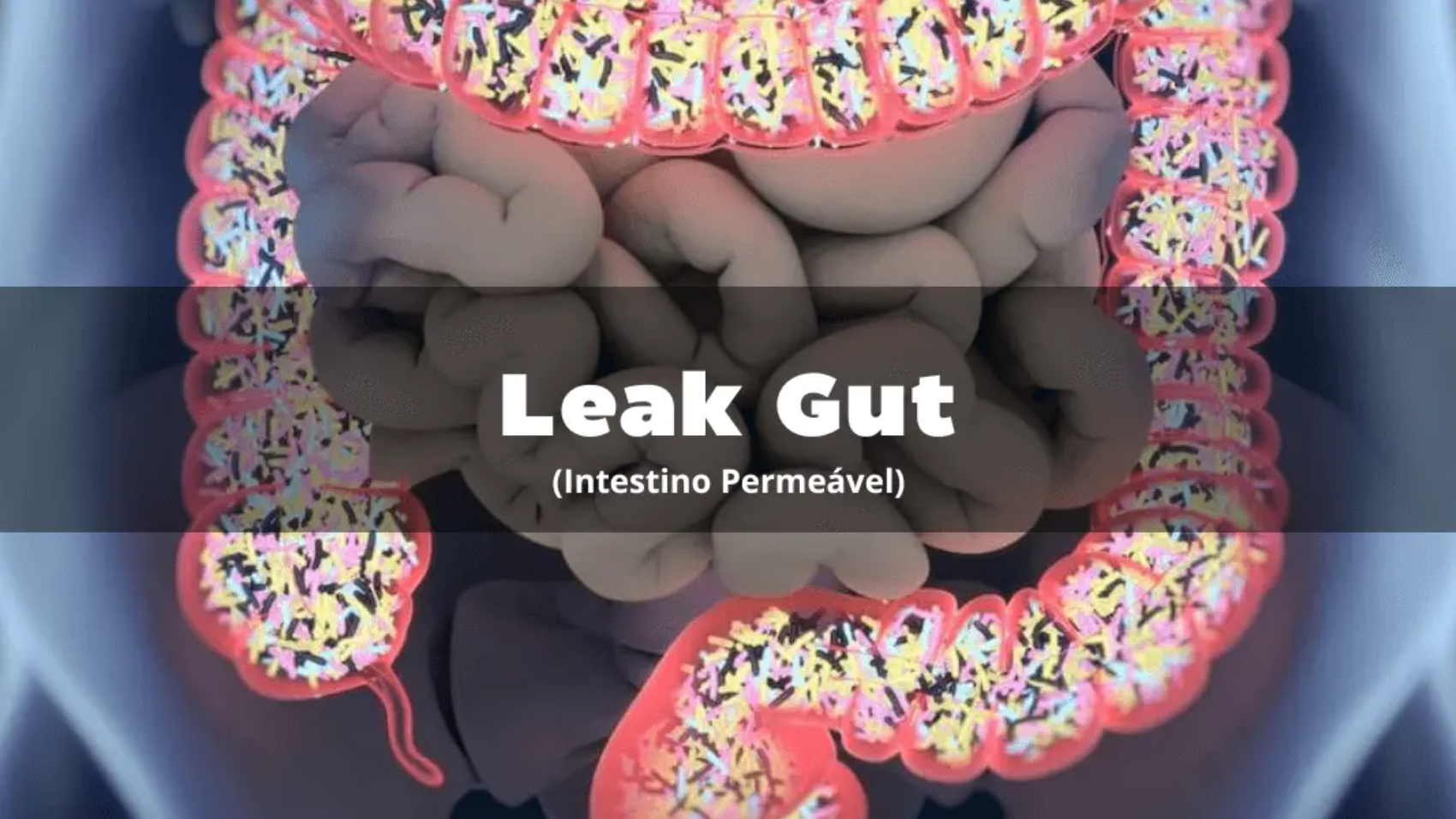 zenkkojuiceofficial-leak-gut-intestino-permeavel-zenkkojuice.com
